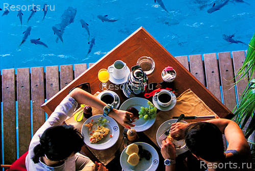 Le Meridien Bora Bora 18